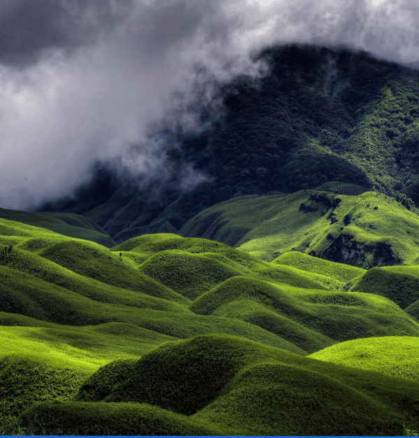 Mystical Northeast: A Journey Through Assam, Arunachal & Meghalaya