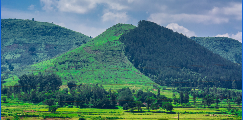 South Hill Station Jeetu Travels