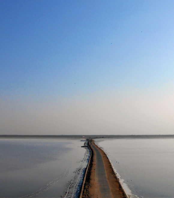 Rann Of Kutch Jeetu Travels